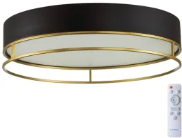 Потолочный светильник Lofty 7723/100L в Москве - фото Потолочный светильник Lofty 7723/100L купить с доставкой по России