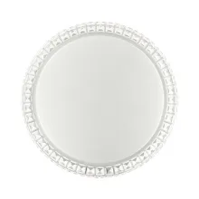 Настенно-потолочный светильник Brisa 2036/DL в Москве - фото Настенно-потолочный светильник Brisa 2036/DL купить с доставкой по России