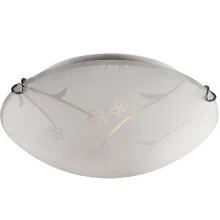 Настенно-потолочный светильник Sonex Luardo 310 в Москве - фото Настенно-потолочный светильник Sonex Luardo 310 купить с доставкой по России