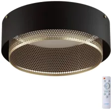 Потолочный светильник Antey 7692/48L в Москве - фото Потолочный светильник Antey 7692/48L купить с доставкой по России